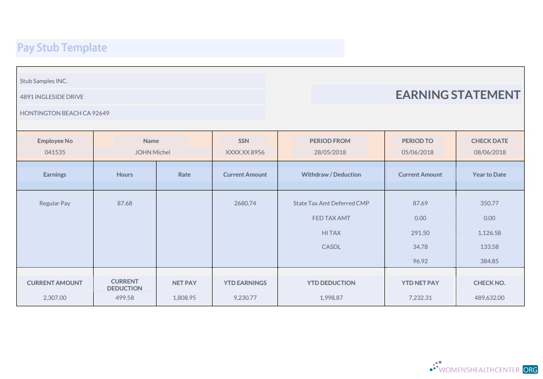 Download Stub Samples INC earnings statement Template Photoshop template